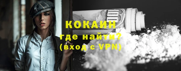 ГАЛЛЮЦИНОГЕННЫЕ ГРИБЫ Арсеньев