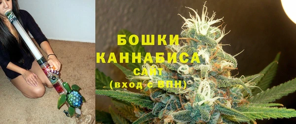 ГАЛЛЮЦИНОГЕННЫЕ ГРИБЫ Арсеньев