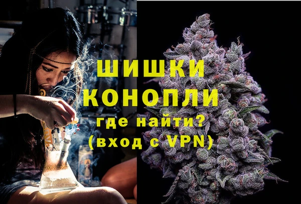 ГАЛЛЮЦИНОГЕННЫЕ ГРИБЫ Арсеньев