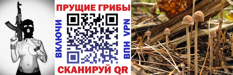 shop как зайти  как найти наркотики  ОМГ ОМГ рабочий сайт  Похвистнево  Псилоцибиновые грибы MAGIC MUSHROOMS 