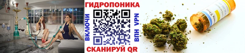 Бошки Шишки сатива  Похвистнево 